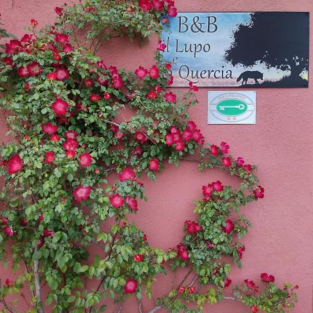 B&B il Lupo e la Quercia Castelnuovo Magra Esterno foto